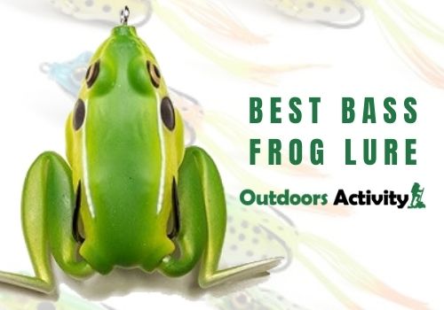 10 Best Bass Frog Lure Reviews in 2022
