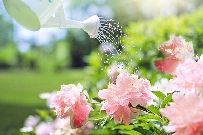 best outdoor watering can for garden