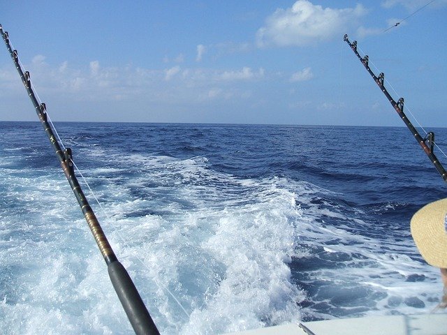 What You Need To Know Before Going Deep Sea Fishing?