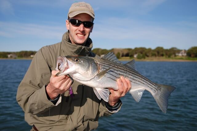 Striped Bass Fishing Tips