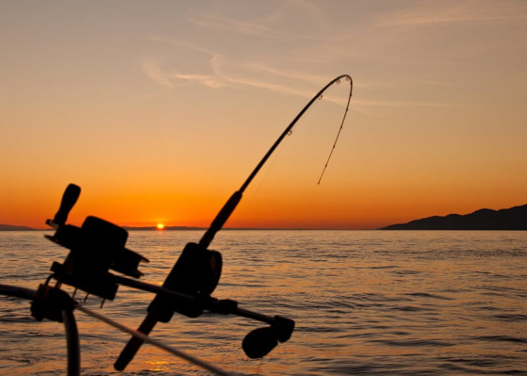 15 Saltwater Fishing Gifts Ideas For Avid Fishermen