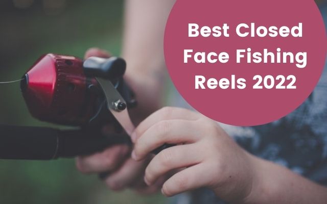 Best Closed Face Reels